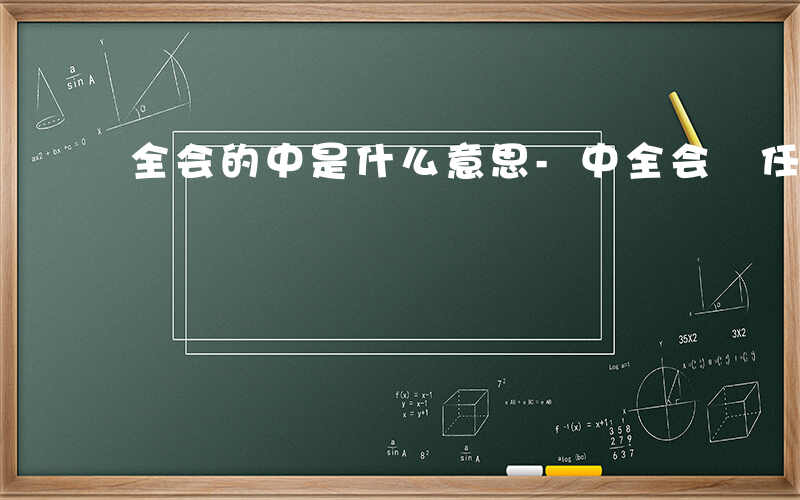 全会的中是什么意思-中全会 任务是什么